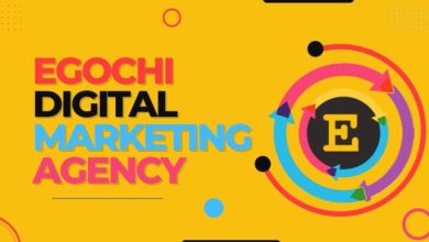 egochi miami seo agency